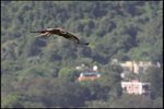 IMG_3439
