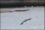 IMG_3455