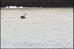 IMG_3499