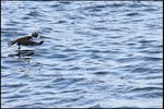 IMG_3510