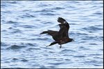 IMG_3512
