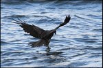 IMG_3518