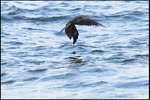 IMG_3519