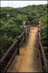 IMG_3679