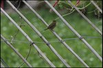 IMG_4435