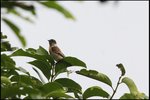IMG_4460
