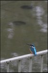 IMG_4478
