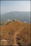 IMG_4776