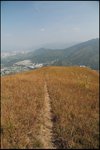 IMG_4781