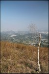 IMG_4782