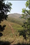 IMG_4795