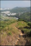 IMG_4798