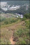 IMG_4799