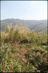 IMG_4820