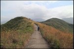 IMG_5246