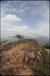 IMG_5269