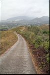 IMG_5319