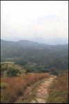 IMG_5392