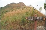 IMG_5396
