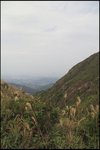 IMG_5397
