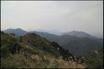 IMG_5398