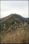 IMG_5667