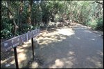 IMG_5720