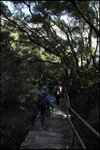 IMG_5943