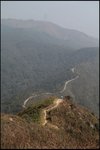 IMG_6010