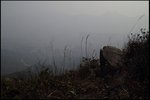 IMG_6014
