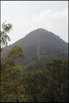 IMG_6019