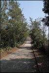 IMG_6020