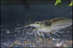 IMG_6190