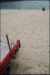 IMG_6296