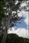 IMG_6305