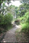 IMG_6309