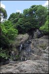 IMG_6319