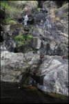 IMG_6346