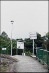 IMG_6351