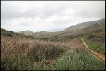 IMG_6449