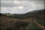 IMG_6451