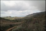 IMG_6456