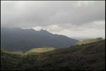 IMG_6458