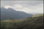 IMG_6459