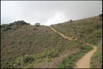 IMG_6460