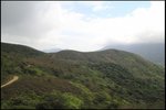 IMG_6461