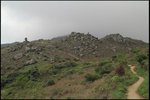 IMG_6475
