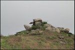 IMG_6492
