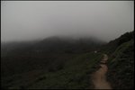 IMG_6559