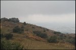 IMG_0359